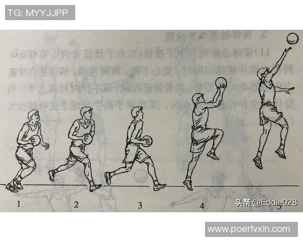 从零基础到篮球达人：全面提升耐力与技巧的实用指南