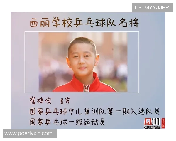 上海乒乓球队实力分析与表现评估：数据背后的故事与启示