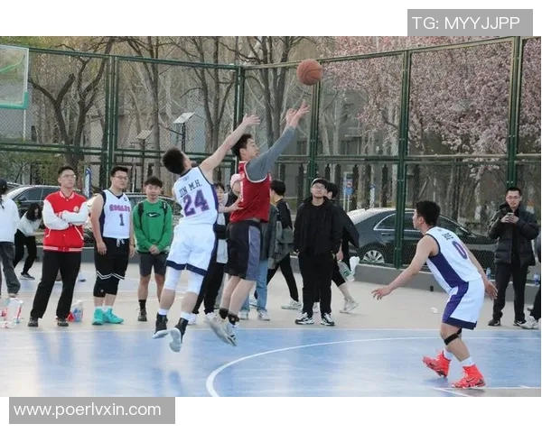 杭州篮球队展现出色团队协作精神助力联赛表现提升